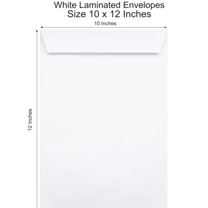 10 x 12 White Laminated Envelopes 100 Gsm. | For A4/Letter Size Magazine, Catalog, Documents Office & Multipurpose Envelopes | Vertical Portrait Envelopes